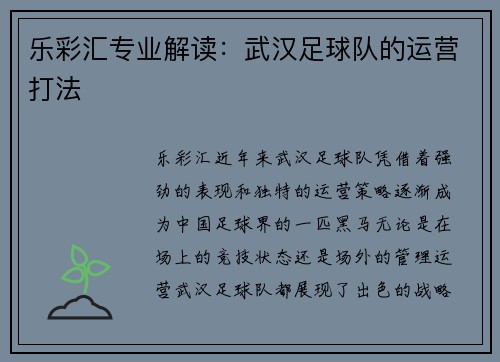 乐彩汇专业解读：武汉足球队的运营打法